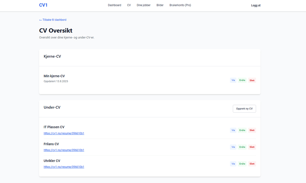 Kjerne-CV oversikt
